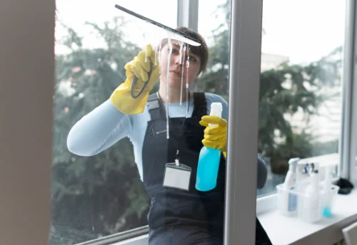 Nettoyage de vitres intérieures et extérieures à Lalizolle